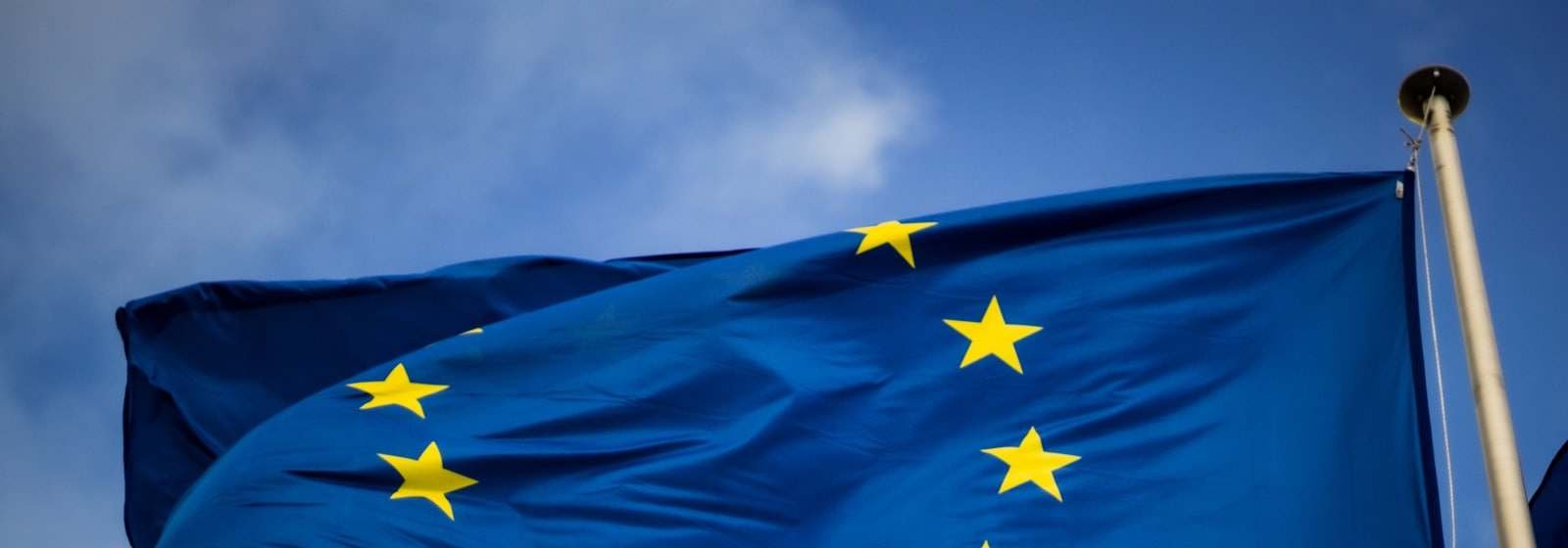 De vlag van de Europese Unie tegen een blauwe lucht